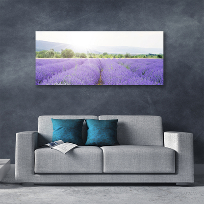 Fototryck canvas Lavendelfält Naturäng