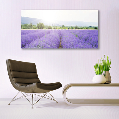 Fototryck canvas Lavendelfält Naturäng