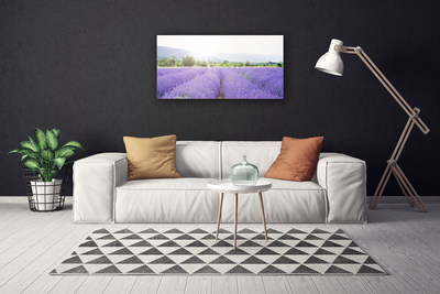 Fototryck canvas Lavendelfält Naturäng