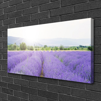 Fototryck canvas Lavendelfält Naturäng