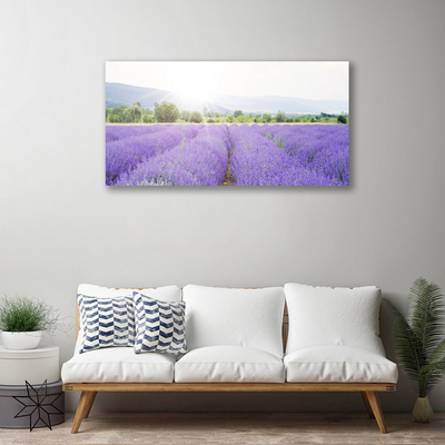 Fototryck canvas Lavendelfält Naturäng