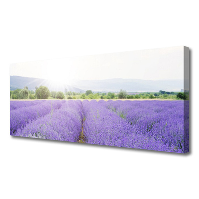 Fototryck canvas Lavendelfält Naturäng