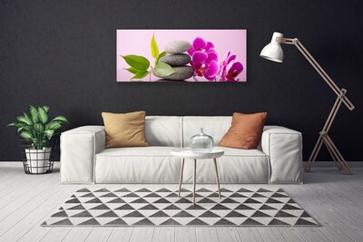 Fototryck canvas Orkidé Orkidéblommor