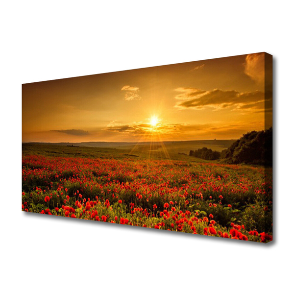 Fototryck canvas Vallmofält Sunset Meadow