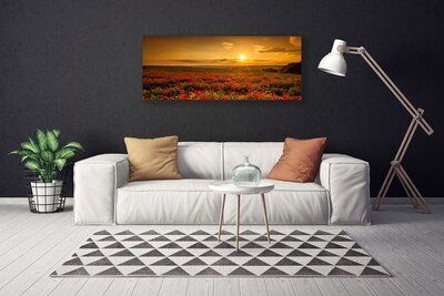 Fototryck canvas Vallmofält Sunset Meadow