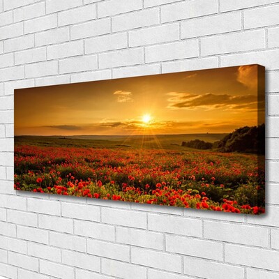 Fototryck canvas Vallmofält Sunset Meadow