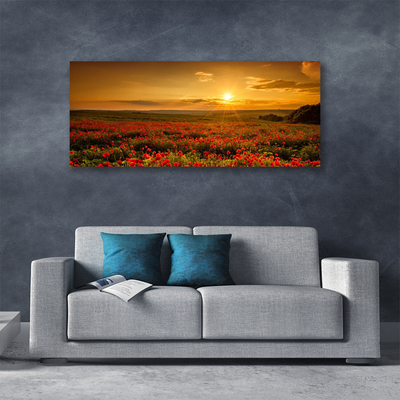 Fototryck canvas Vallmofält Sunset Meadow