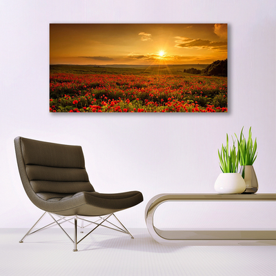 Fototryck canvas Vallmofält Sunset Meadow