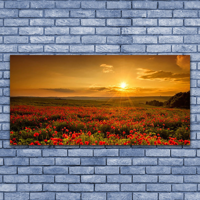 Fototryck canvas Vallmofält Sunset Meadow