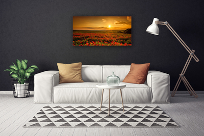 Fototryck canvas Vallmofält Sunset Meadow