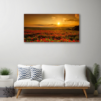 Fototryck canvas Vallmofält Sunset Meadow