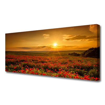 Fototryck canvas Vallmofält Sunset Meadow