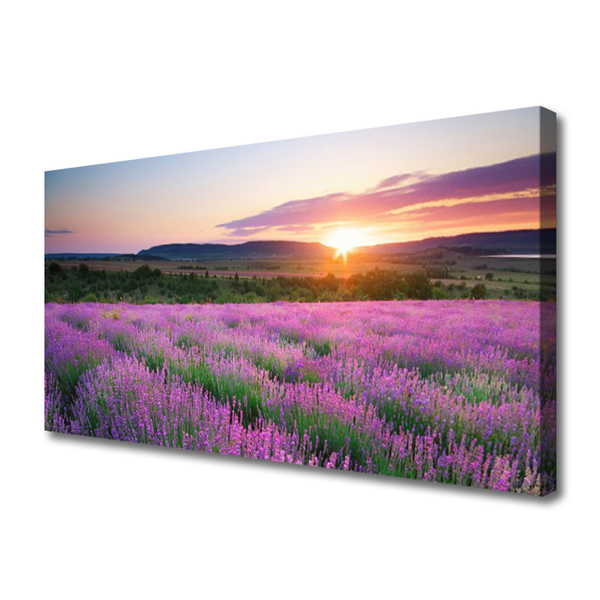 Fototryck canvas Lavender Fields Meadow West