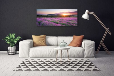 Fototryck canvas Lavender Fields Meadow West