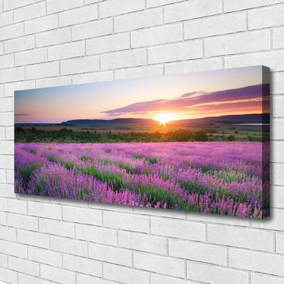 Fototryck canvas Lavender Fields Meadow West