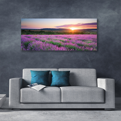 Fototryck canvas Lavender Fields Meadow West