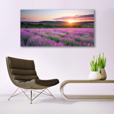 Fototryck canvas Lavender Fields Meadow West