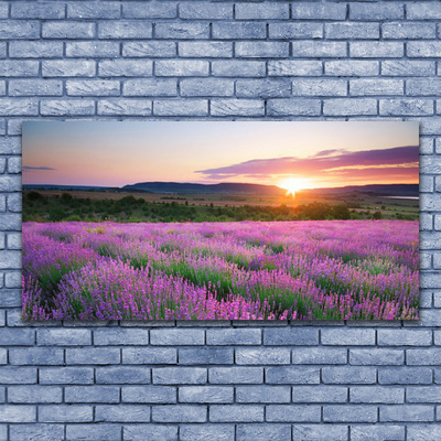 Fototryck canvas Lavender Fields Meadow West