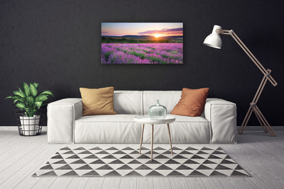 Fototryck canvas Lavender Fields Meadow West