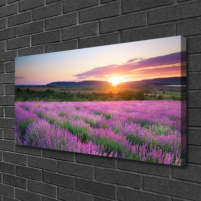 Fototryck canvas Lavender Fields Meadow West