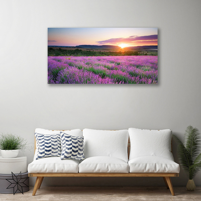 Fototryck canvas Lavender Fields Meadow West