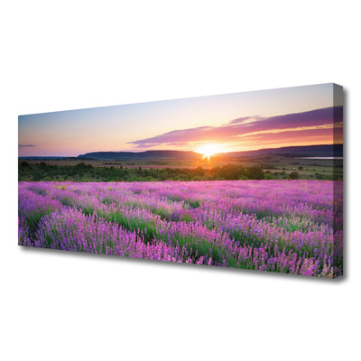 Fototryck canvas Lavender Fields Meadow West