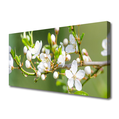 Bild canvas Blommor Grenar Blad fruktträdgård
