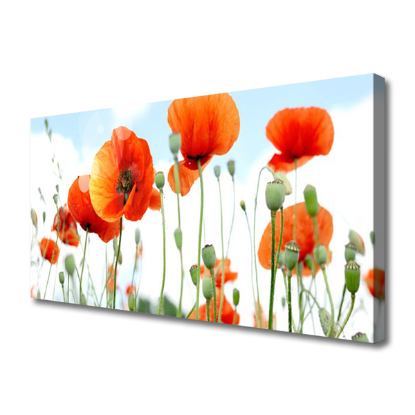 Canvas bild Blommor Vallmo Äng Fält Natur