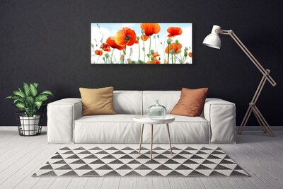 Canvas bild Blommor Vallmo Äng Fält Natur