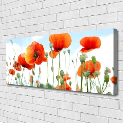 Canvas bild Blommor Vallmo Äng Fält Natur