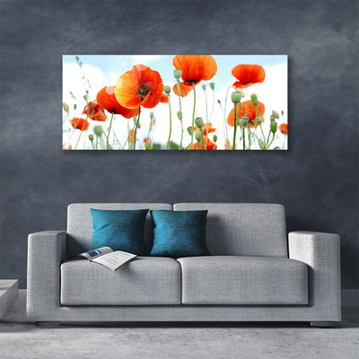 Canvas bild Blommor Vallmo Äng Fält Natur