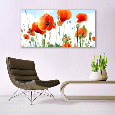 Canvas bild Blommor Vallmo Äng Fält Natur