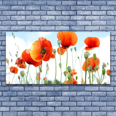 Canvas bild Blommor Vallmo Äng Fält Natur