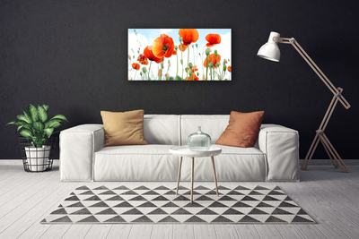 Canvas bild Blommor Vallmo Äng Fält Natur