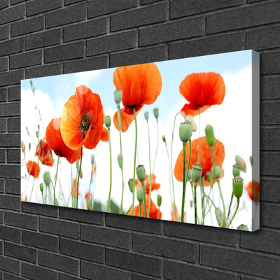 Canvas bild Blommor Vallmo Äng Fält Natur