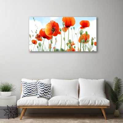 Canvas bild Blommor Vallmo Äng Fält Natur