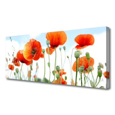 Canvas bild Blommor Vallmo Äng Fält Natur