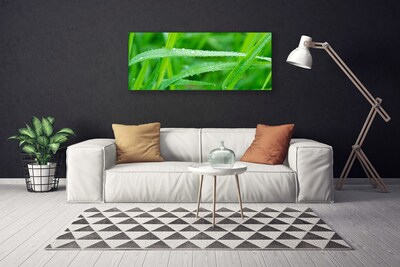 Canvas bild Blad Daggdroppar Natur