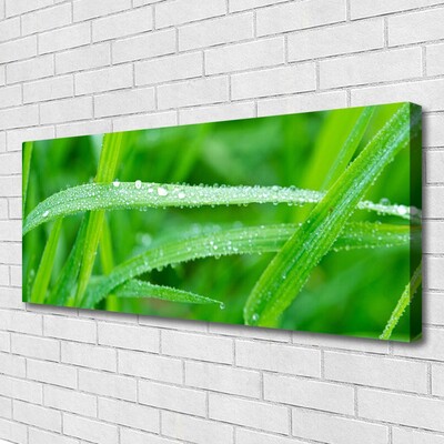 Canvas bild Blad Daggdroppar Natur