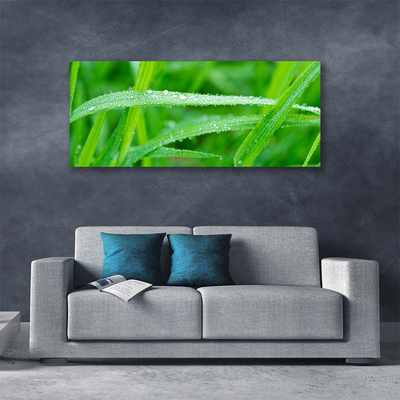 Canvas bild Blad Daggdroppar Natur