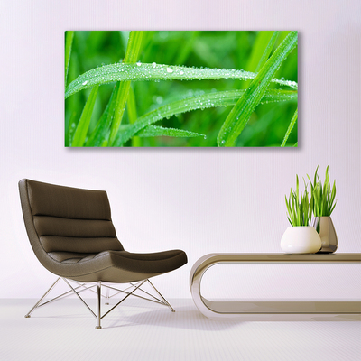 Canvas bild Blad Daggdroppar Natur