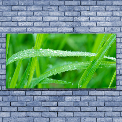 Canvas bild Blad Daggdroppar Natur