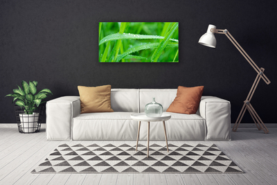 Canvas bild Blad Daggdroppar Natur