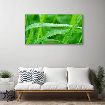 Canvas bild Blad Daggdroppar Natur