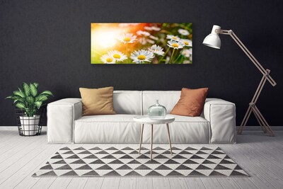 Fototryck canvas Tusenskönor Blommor Strålar
