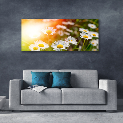 Fototryck canvas Tusenskönor Blommor Strålar