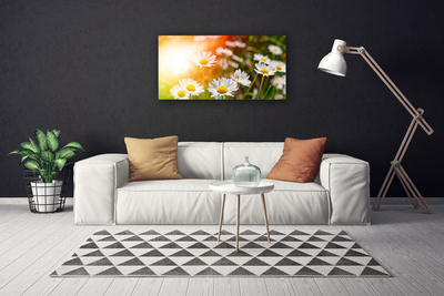 Fototryck canvas Tusenskönor Blommor Strålar