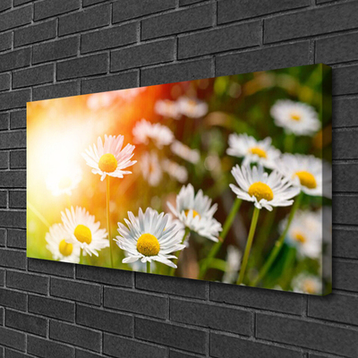 Fototryck canvas Tusenskönor Blommor Strålar