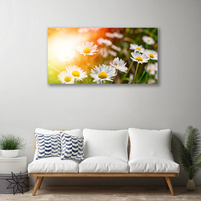 Fototryck canvas Tusenskönor Blommor Strålar