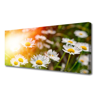 Fototryck canvas Tusenskönor Blommor Strålar